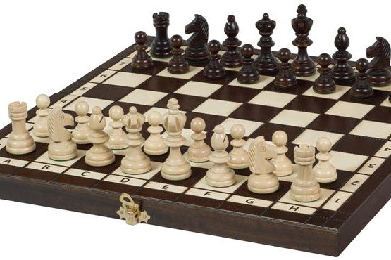 Set d’Échecs en Bois avec Échiquier Pliable et Pièces Style Staunton - Compact et Pratique